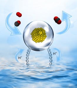 Effect of water on CO Oxidation