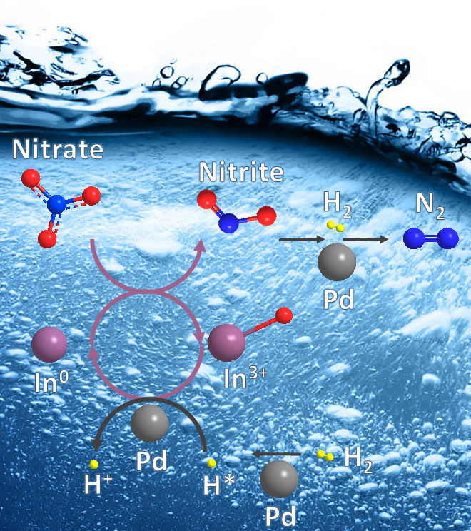 Nitrate Summary Figure